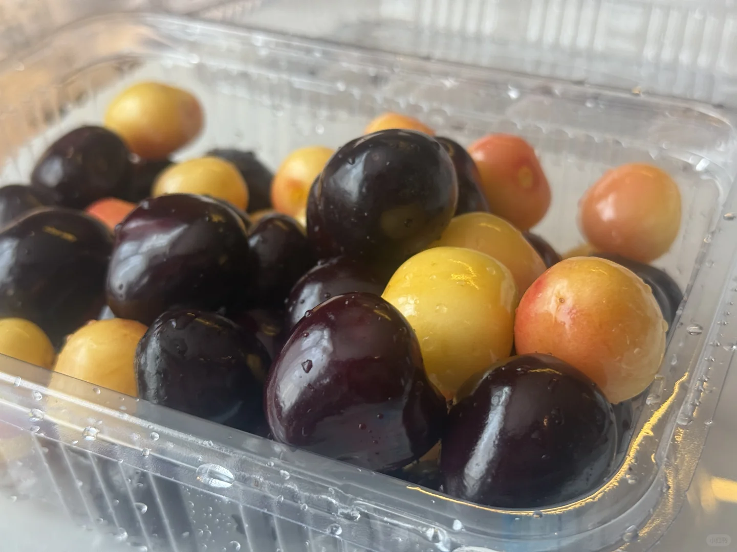 把小红书翻烂果然得到完全不踩雷的大连之行