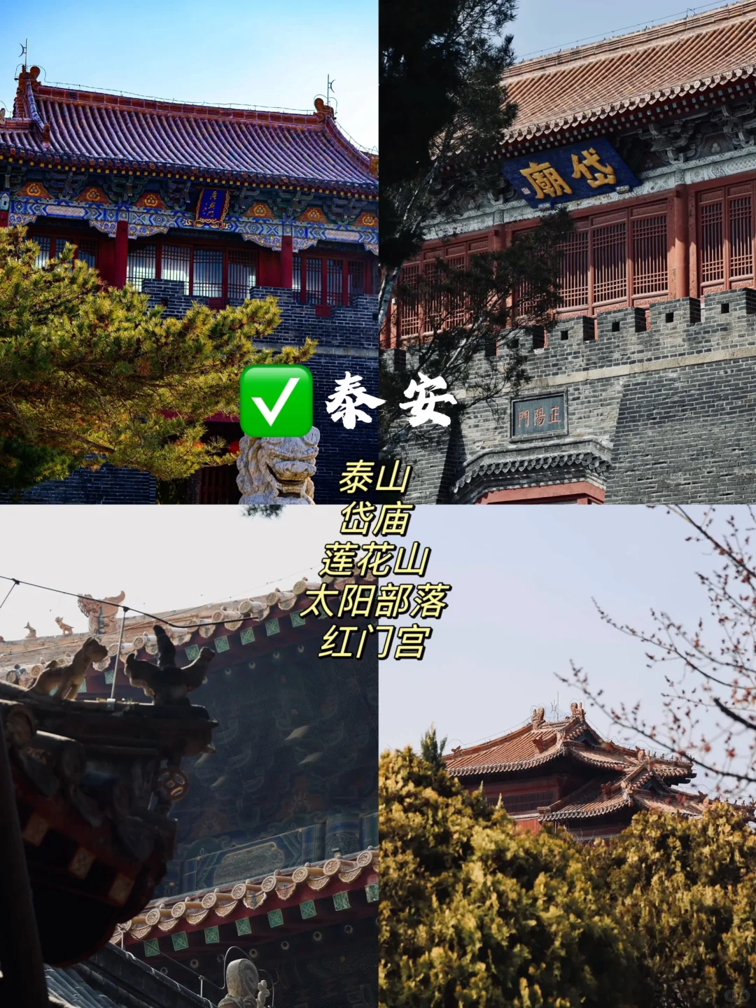 山东省16大城市🏙️景点排名前5️⃣！暑假反向