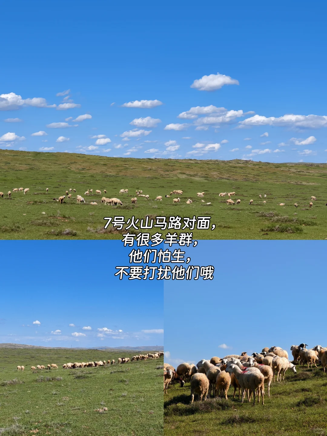 乌兰哈达火山不费腿游玩、捡玛瑙攻略