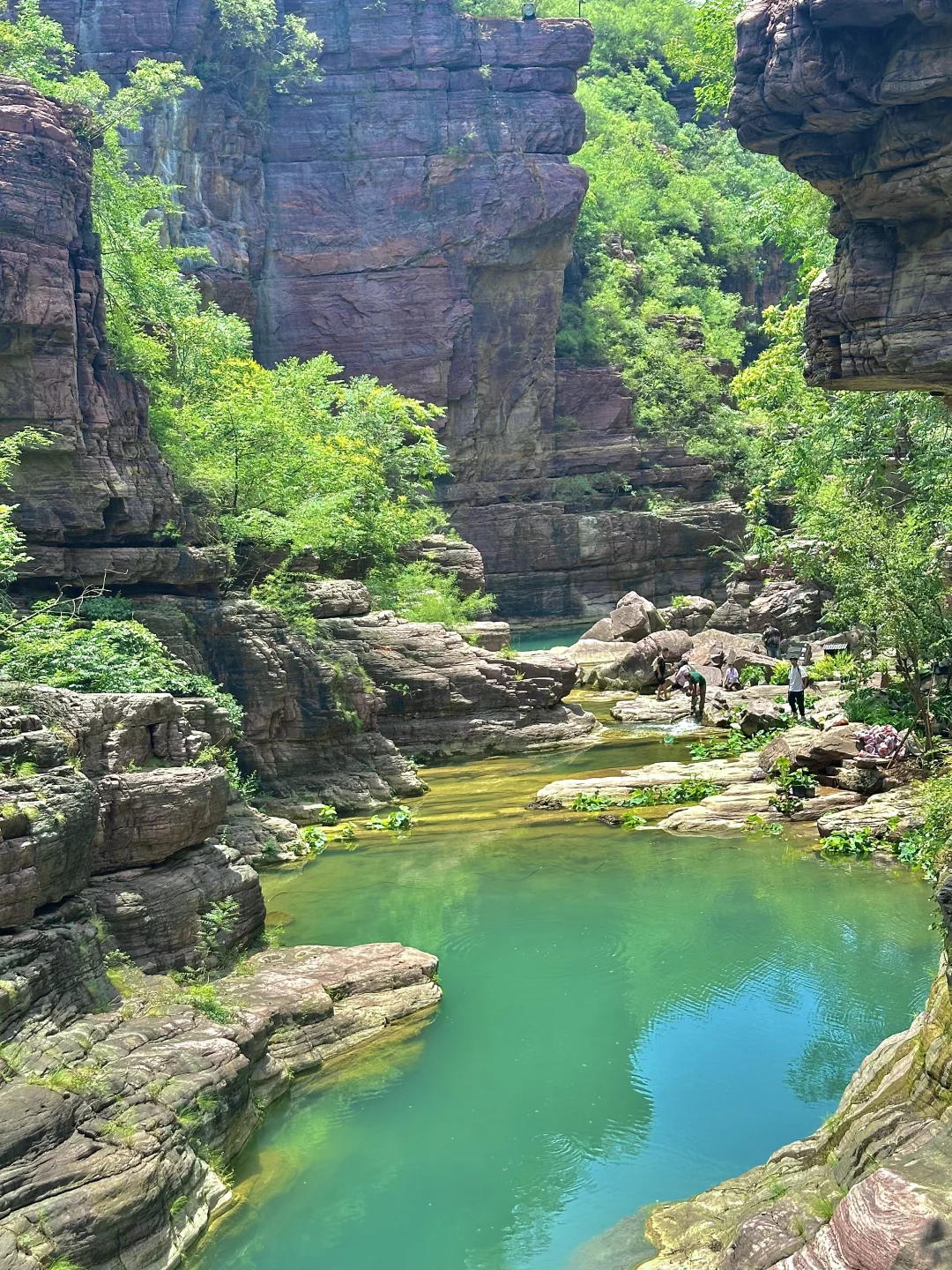 云台山已回😭坚决不删！能劝一个是一个……