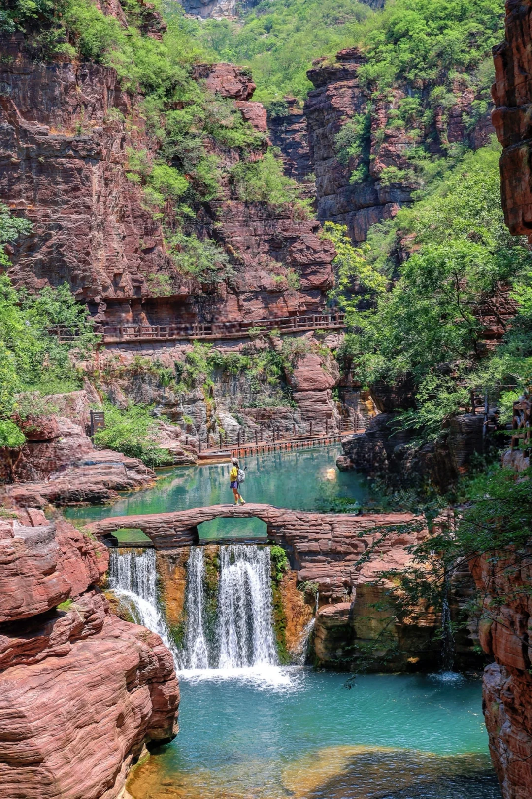 云台山已回😭坚决不删！能劝一个是一个……