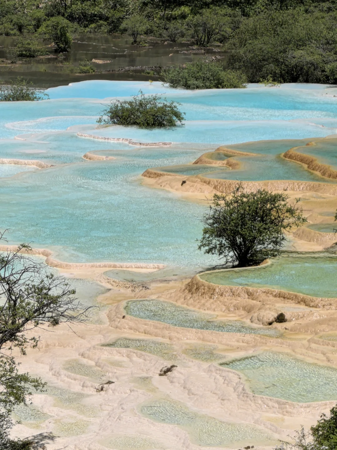 ⭐九寨沟黄龙两日游攻略