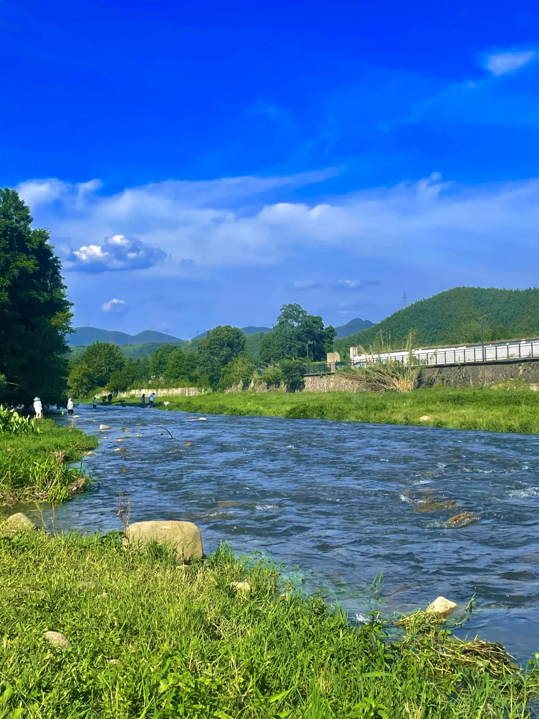 安吉这里好美！！在小红书跟风最成功的一次！！
