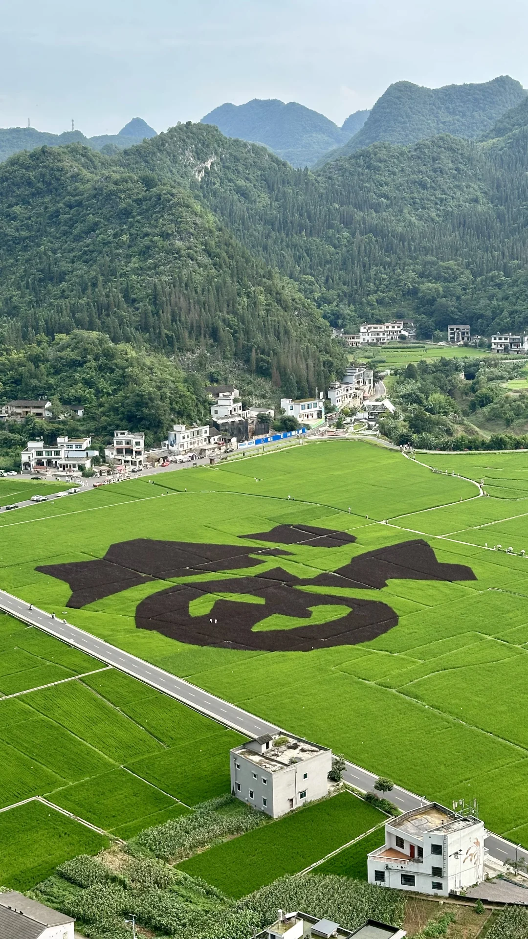 一年去十几次，一篇讲清楚来万峰林怎么玩好