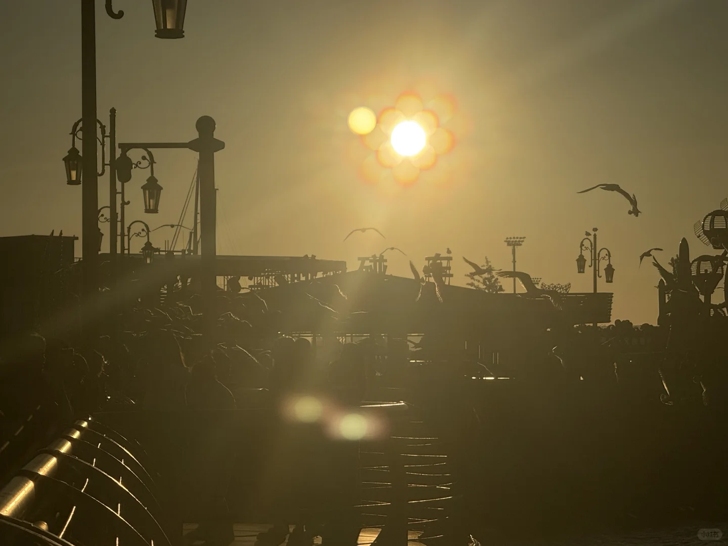 把小红书翻烂果然得到完全不踩雷的大连之行