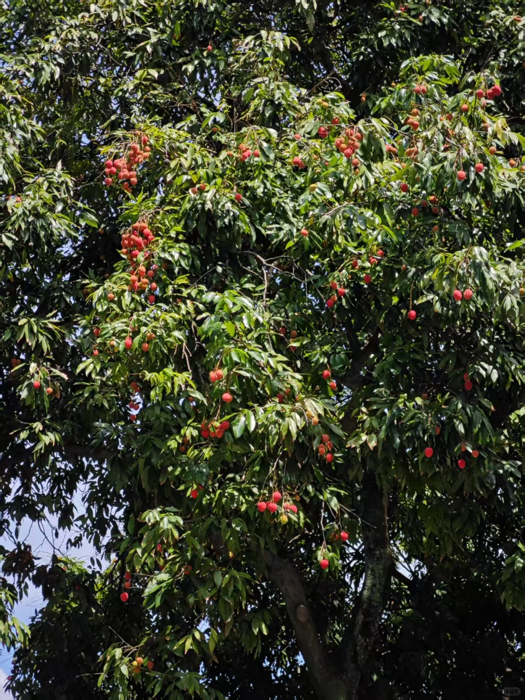 旅游攻略～福州