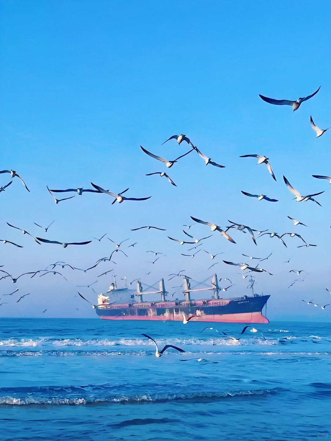 以为青岛已经很美了，直到我去了威海