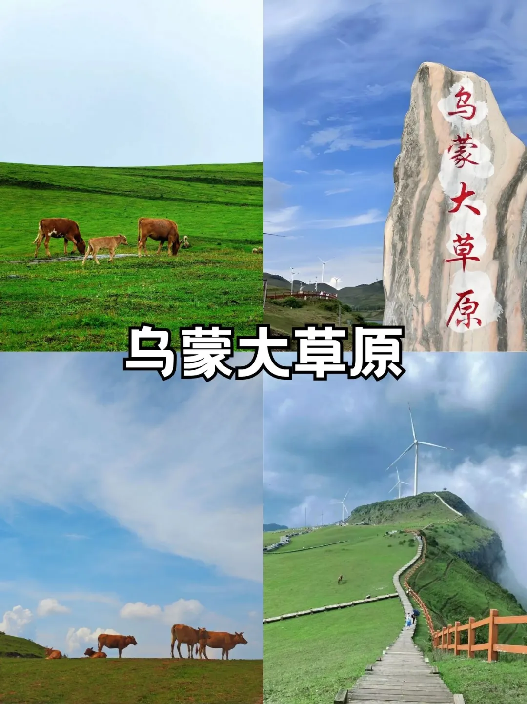 🌿凉都六盘水：中国凉都的天然空调房