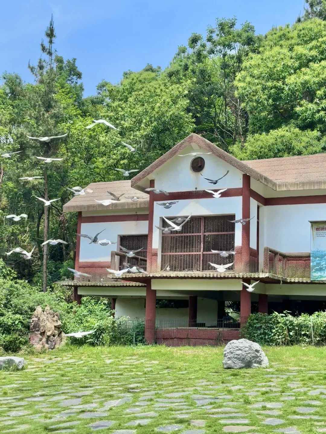 武汉东湖被严重低估的游玩路线！巨美人少！