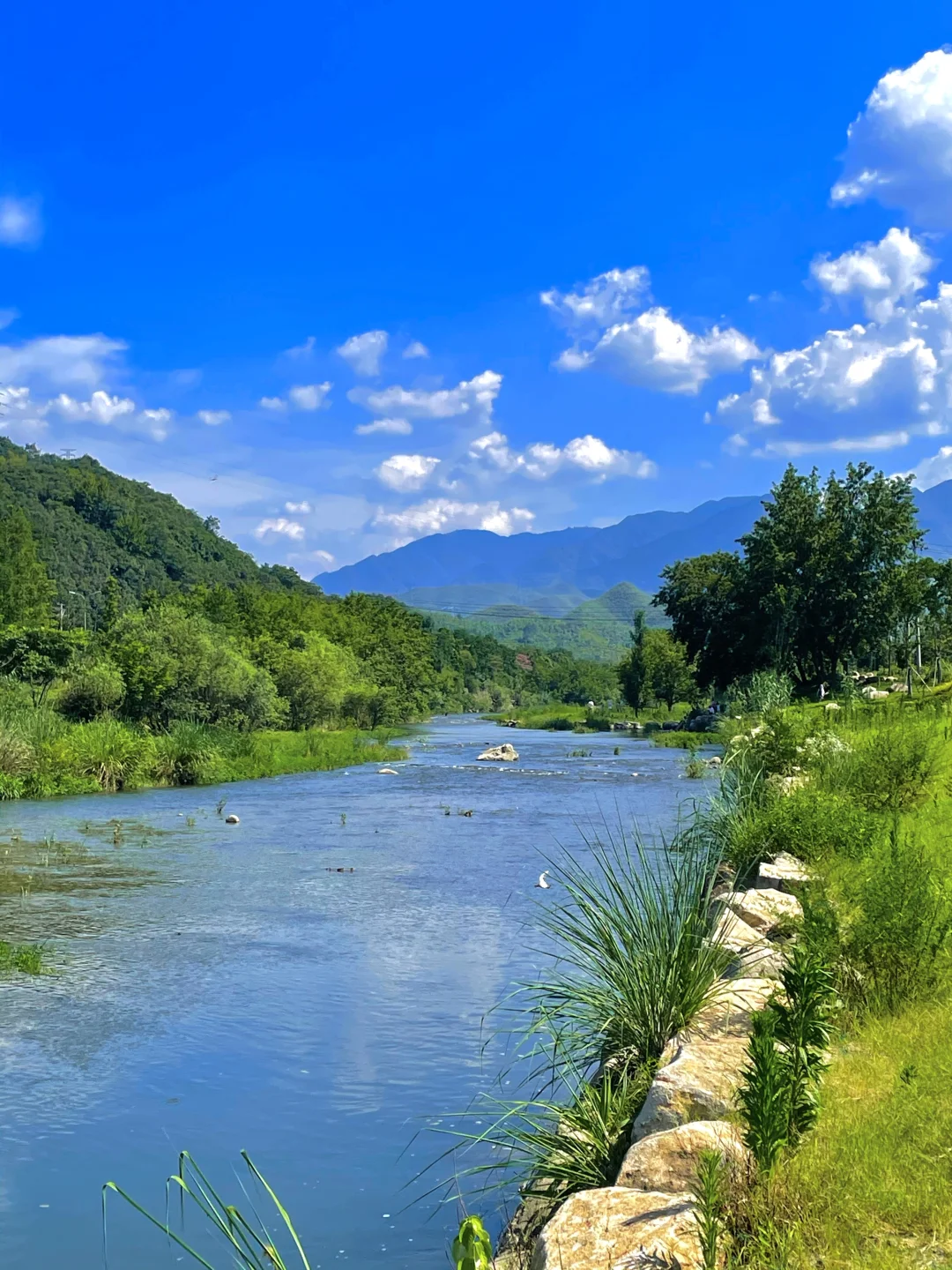 安吉这里好美！！在小红书跟风最成功的一次！！