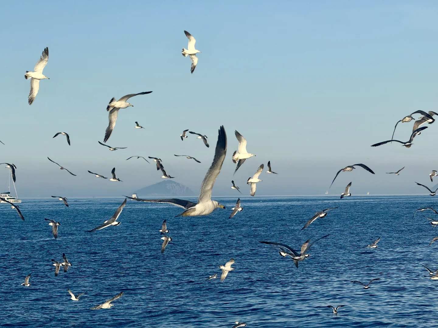 把小红书翻烂果然得到完全不踩雷的大连之行