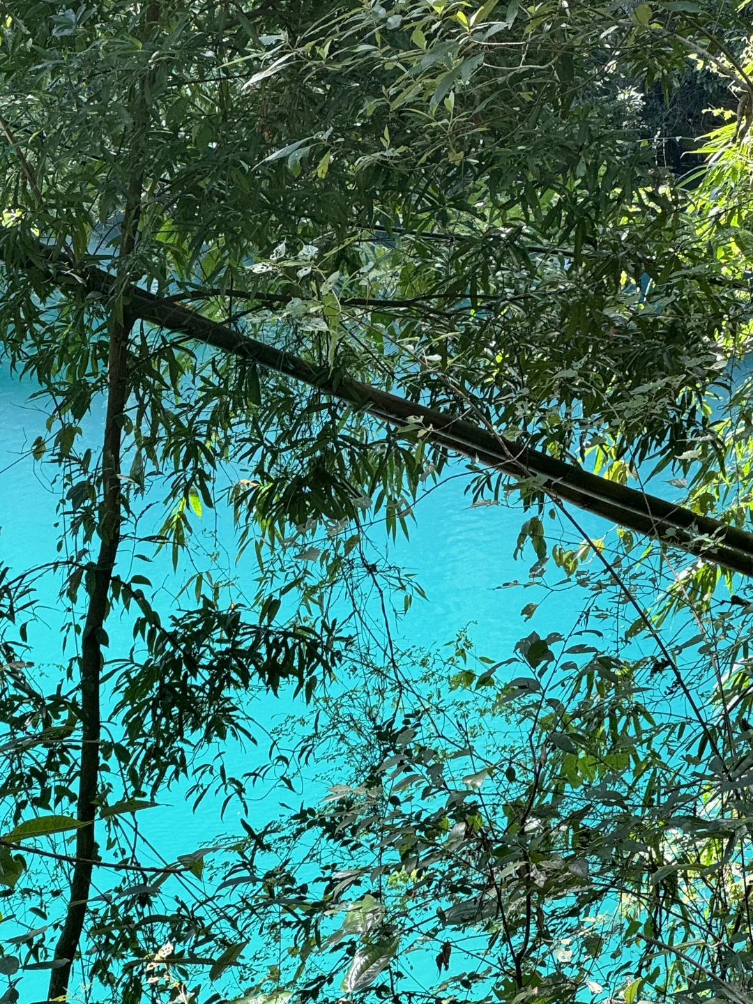 只此青绿｜小七孔你…