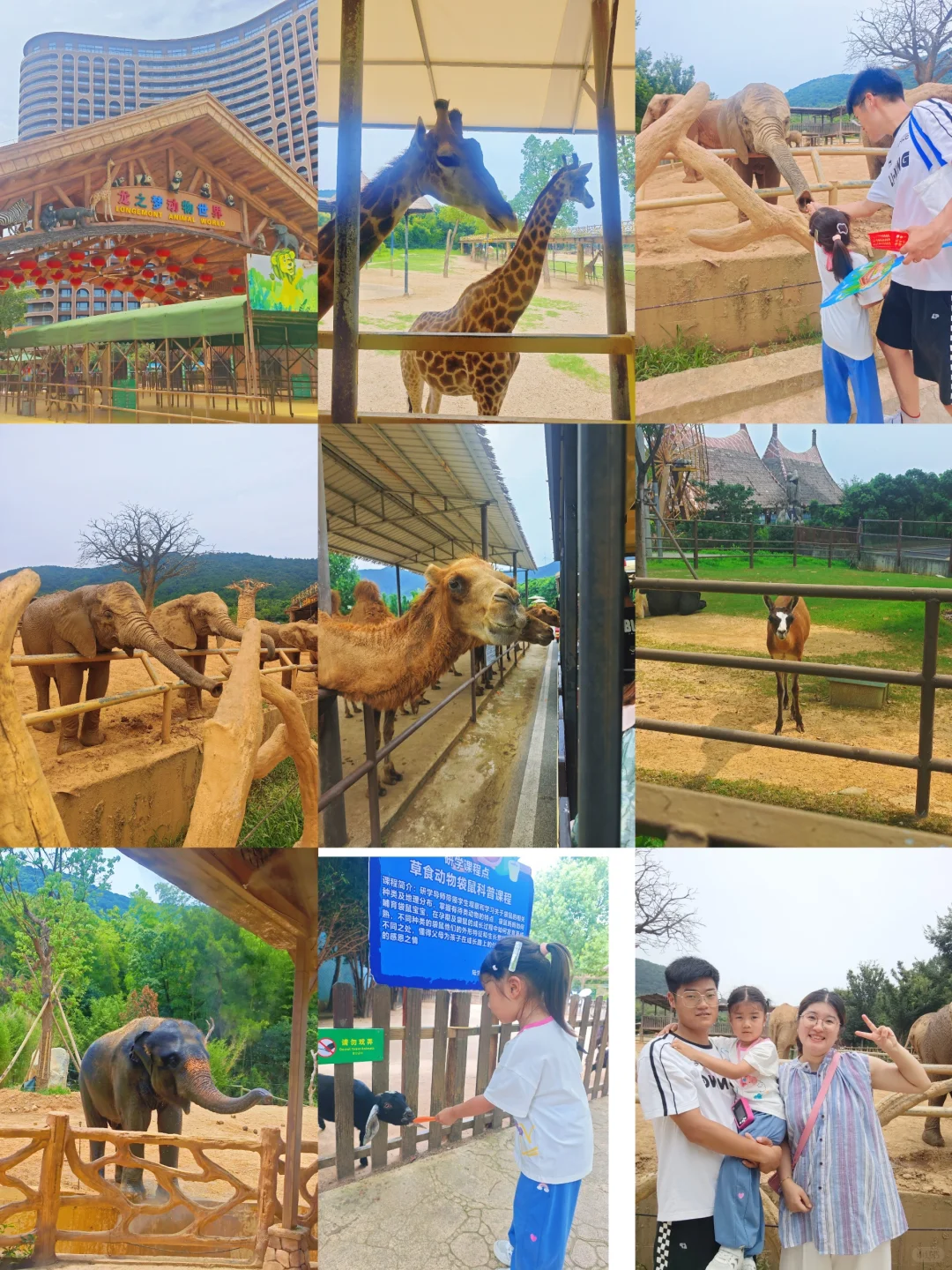 南京出发湖州龙之梦两天一日旅游攻略