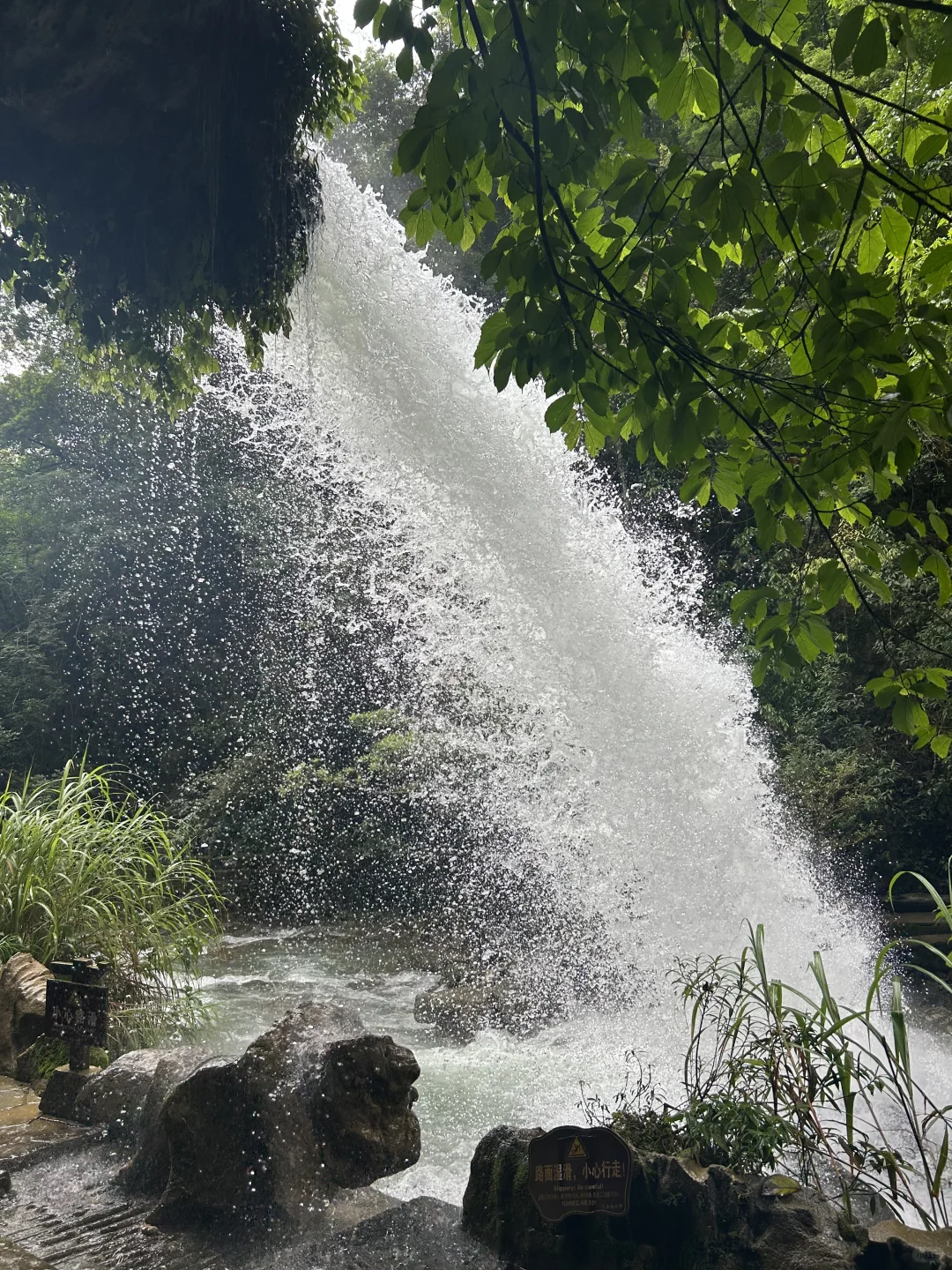 7.15 小七孔实况 💚