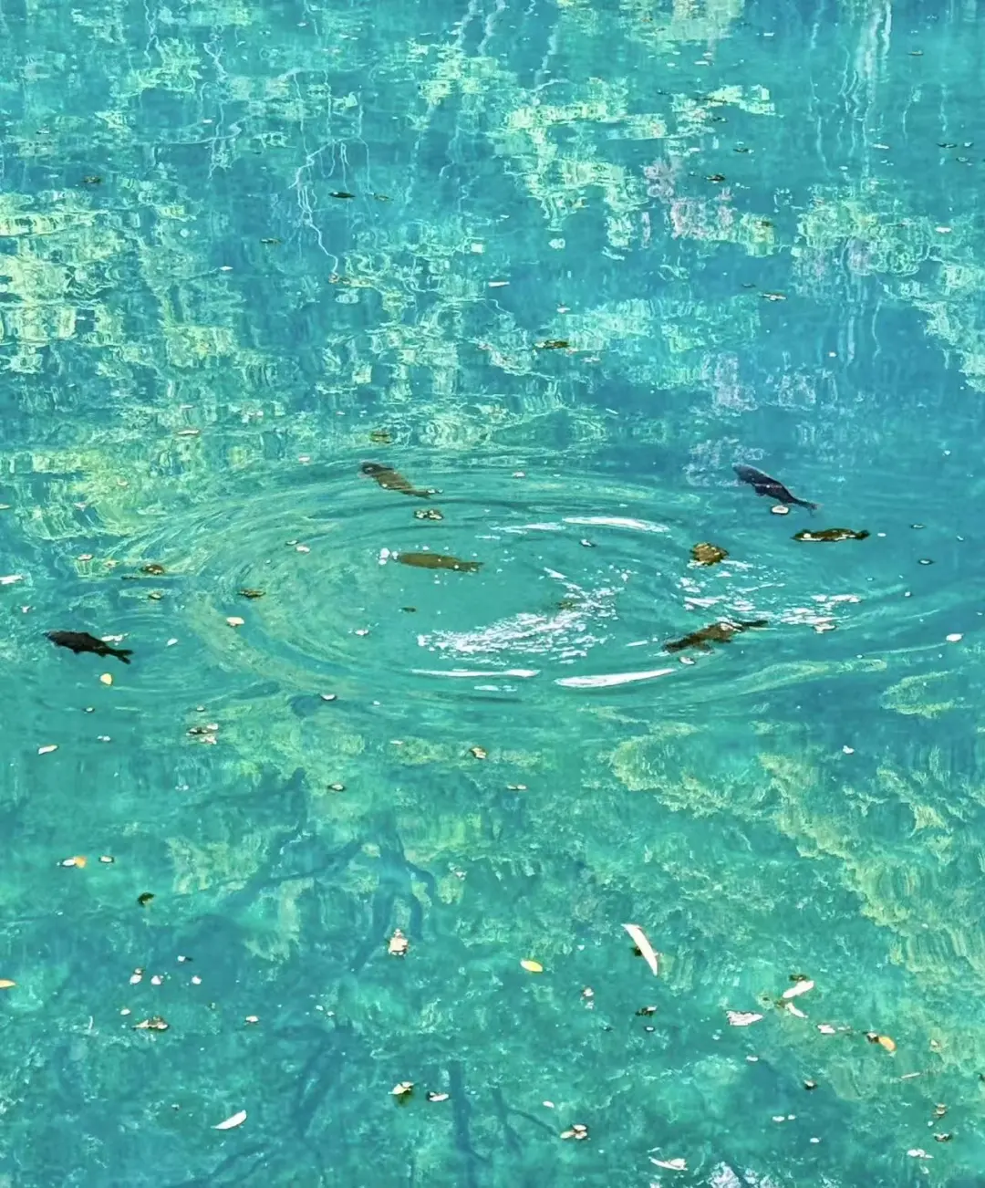 2025.7.7小七孔仙境