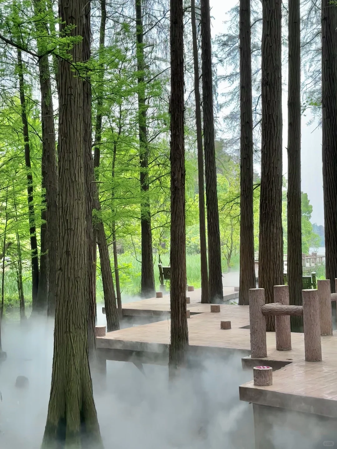 武汉东湖被严重低估的游玩路线！巨美人少！