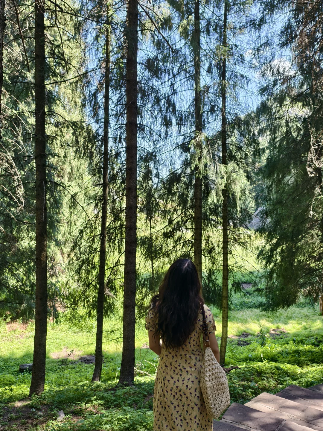 天山天池 | 开启新疆旅途的惊喜 3h游玩推荐