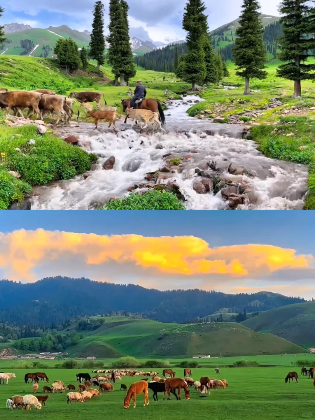 8月旅行地合集✨ 抓住夏天尾巴去撒野
