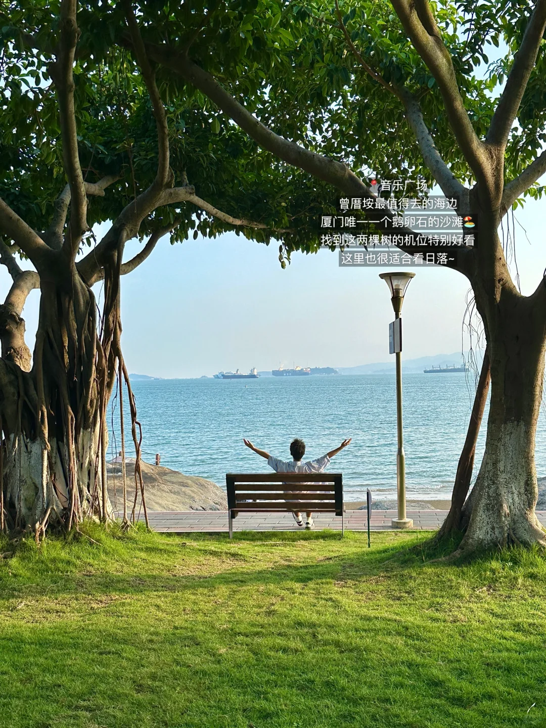 厦门最美的地方都是免费的！！！！（📍附地址）