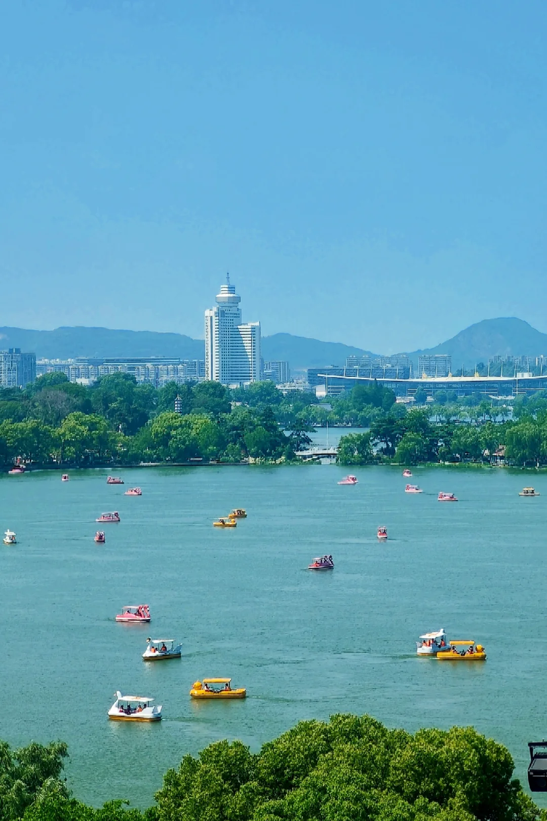 为了这14张图，我去了趟南京……