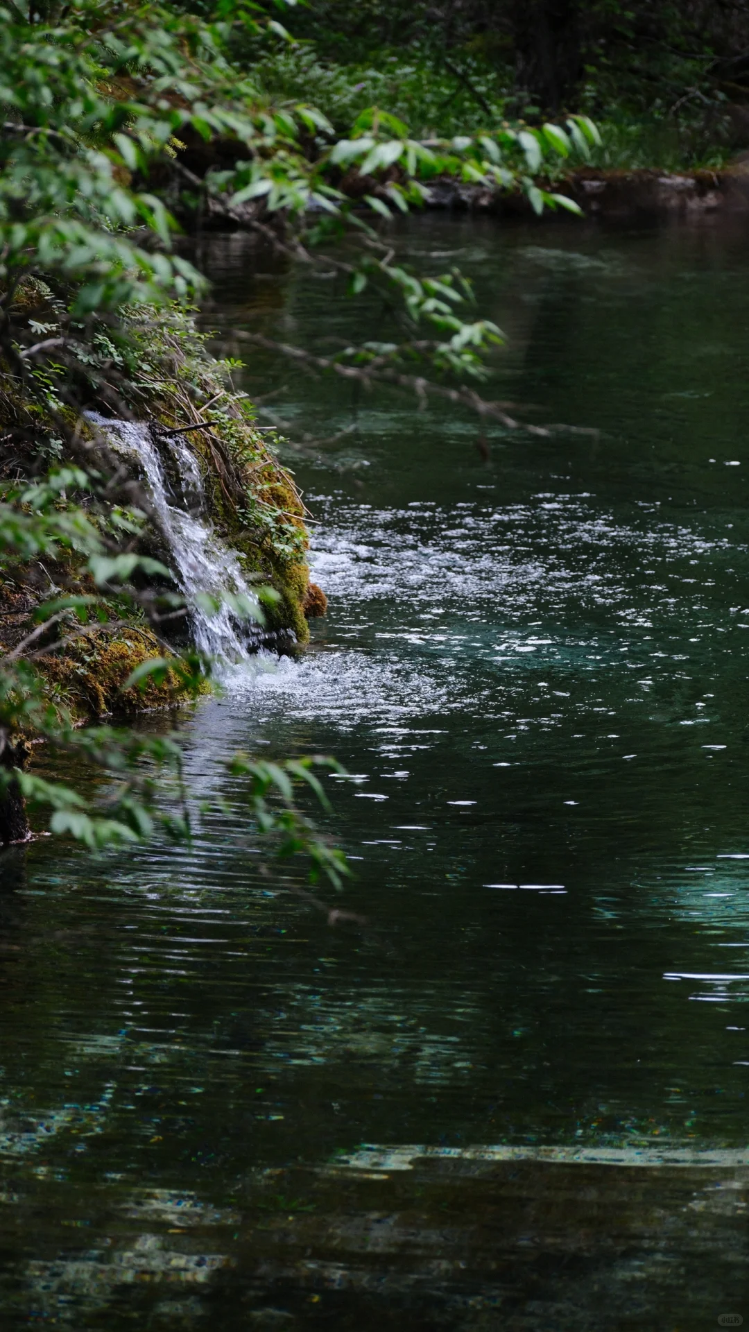 别去九寨了 松潘很够！