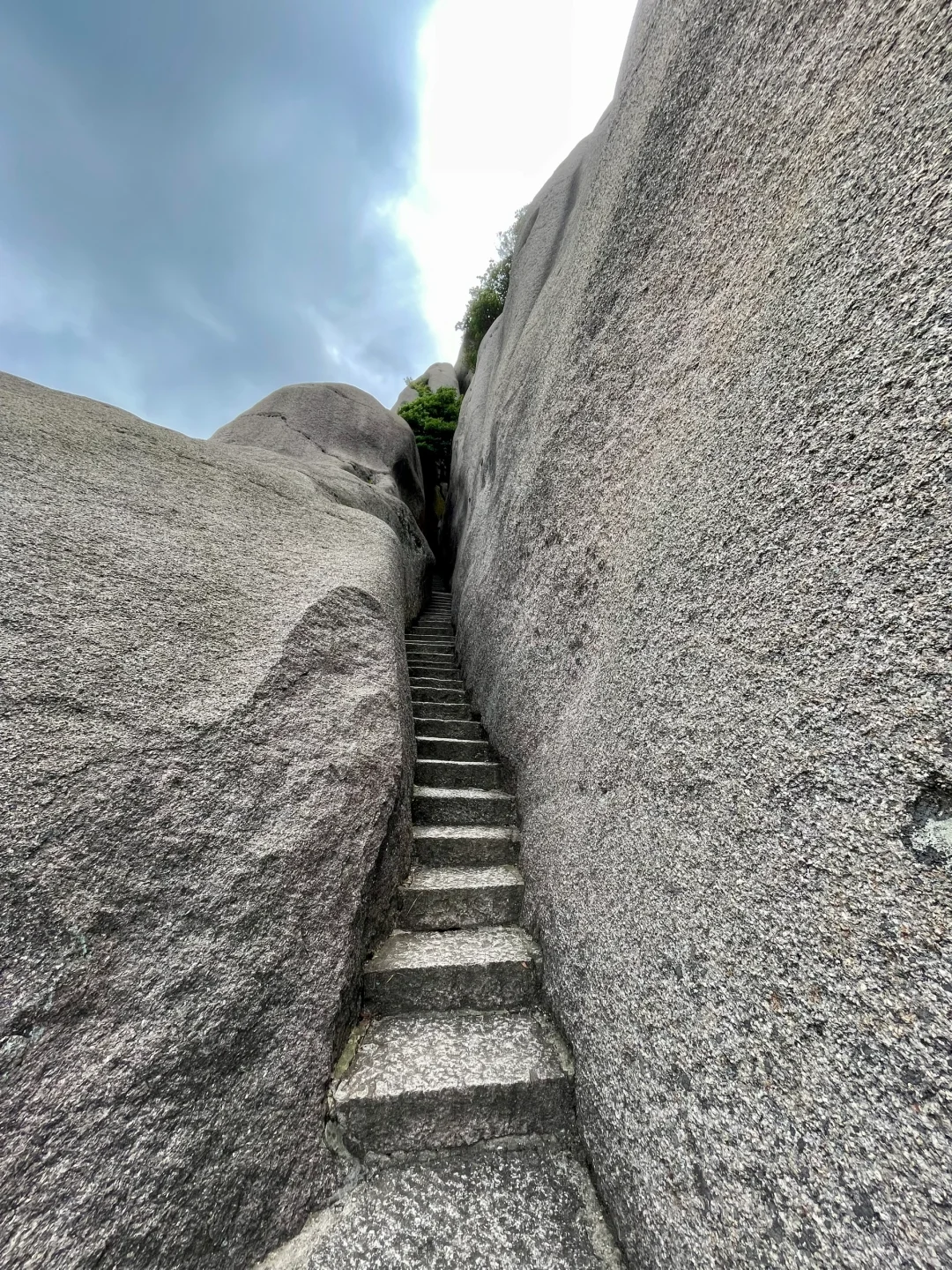 这山又免费了！！不爬对不起自己！