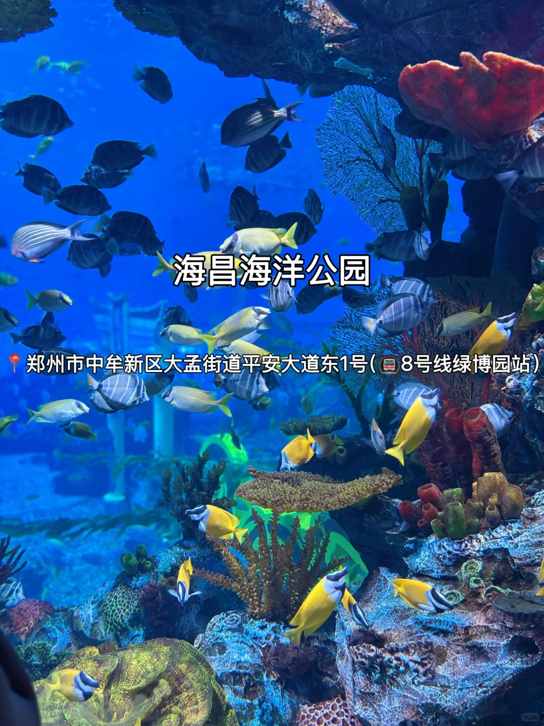 N刷郑州！千万不能错过这篇完整攻略‼️