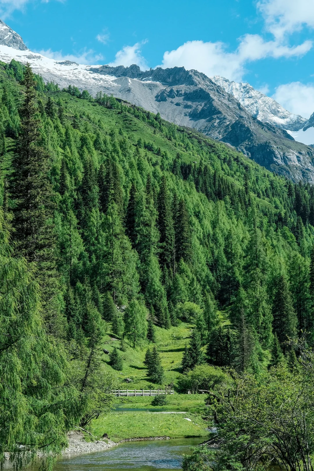 总要去趟四姑娘山，看看封神级别的夏天吧…🍃