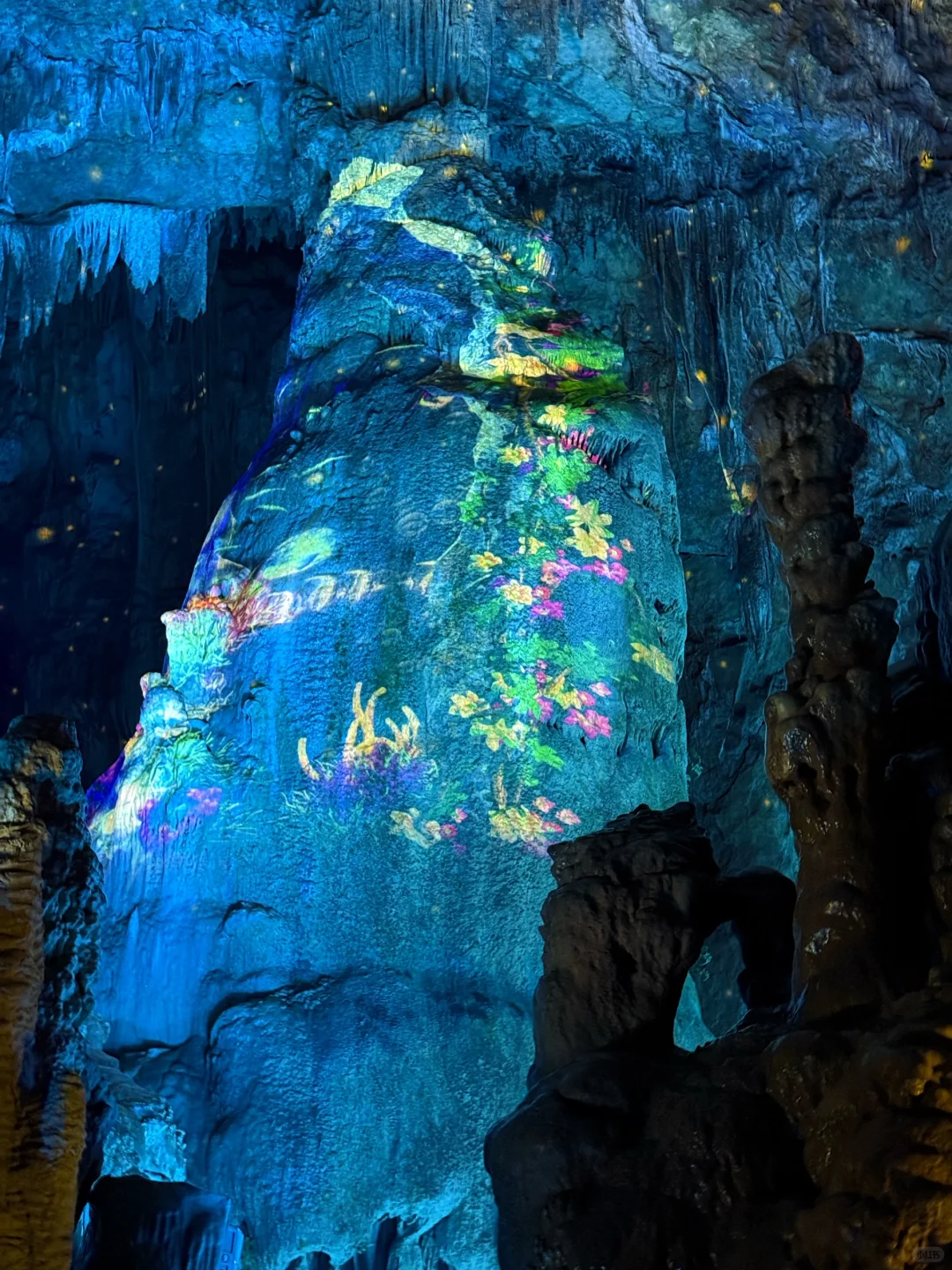 Live图意义❗️〈国家地理 〉夸的桐庐，包出片的