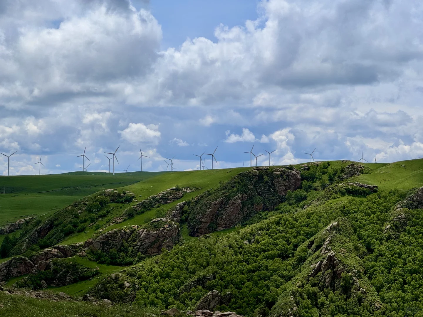 大环境不好，但这里环境好啊🌱