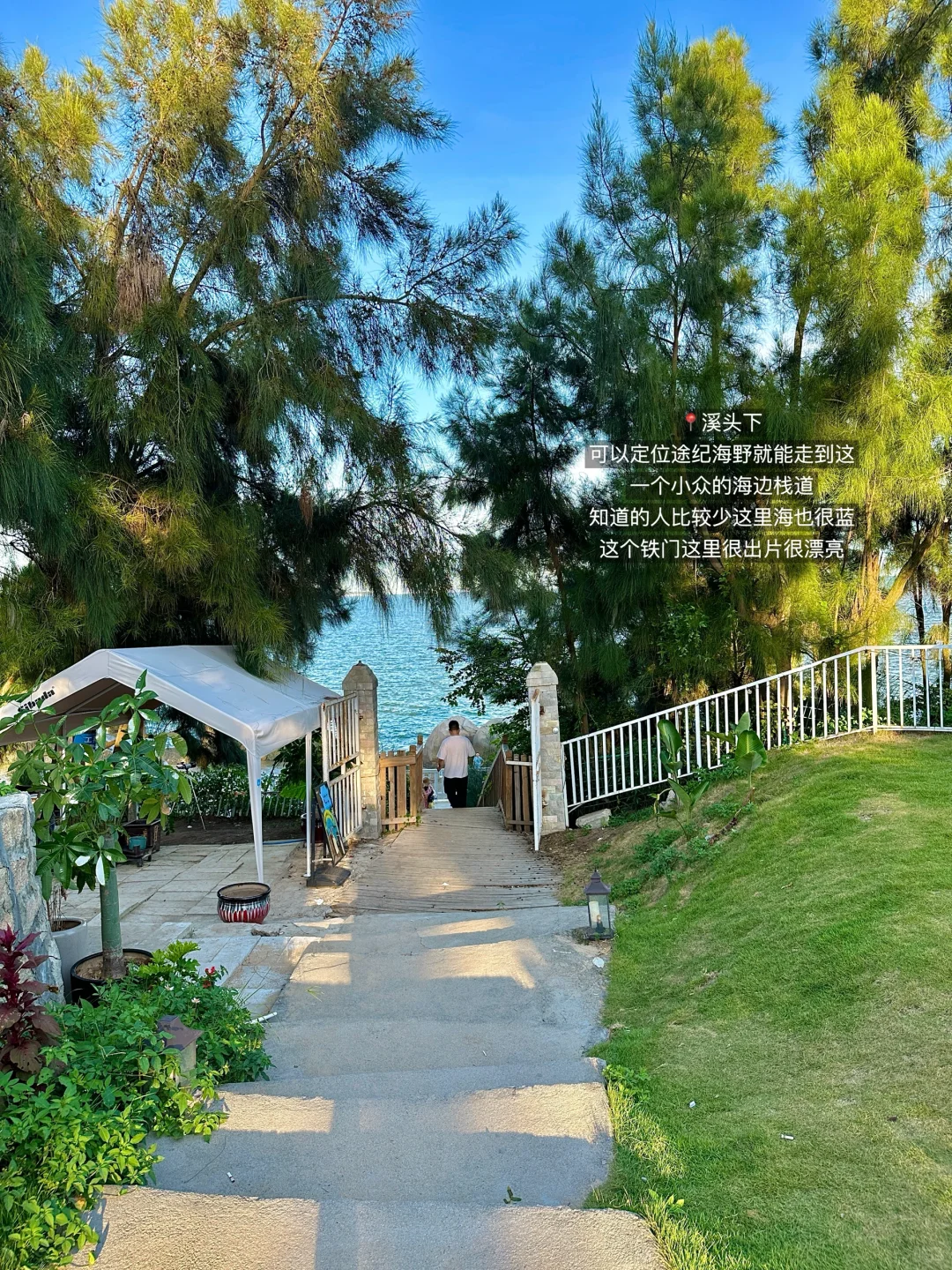 厦门最美的地方都是免费的！！！！（📍附地址）