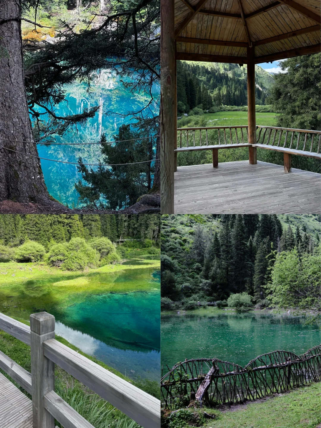 别去九寨了 松潘很够！