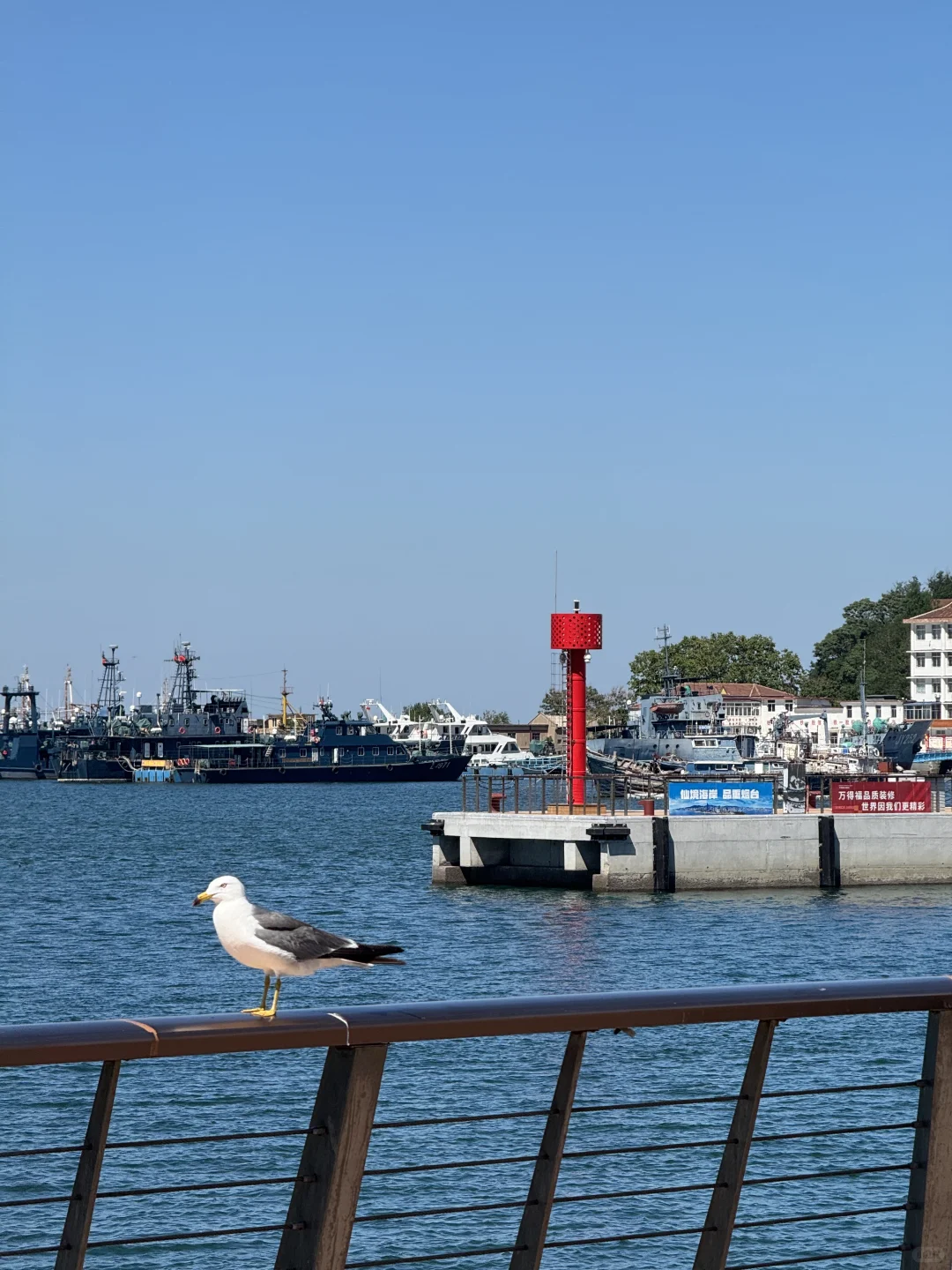 为了这1️⃣8️⃣张照片,我专门去了一趟烟台