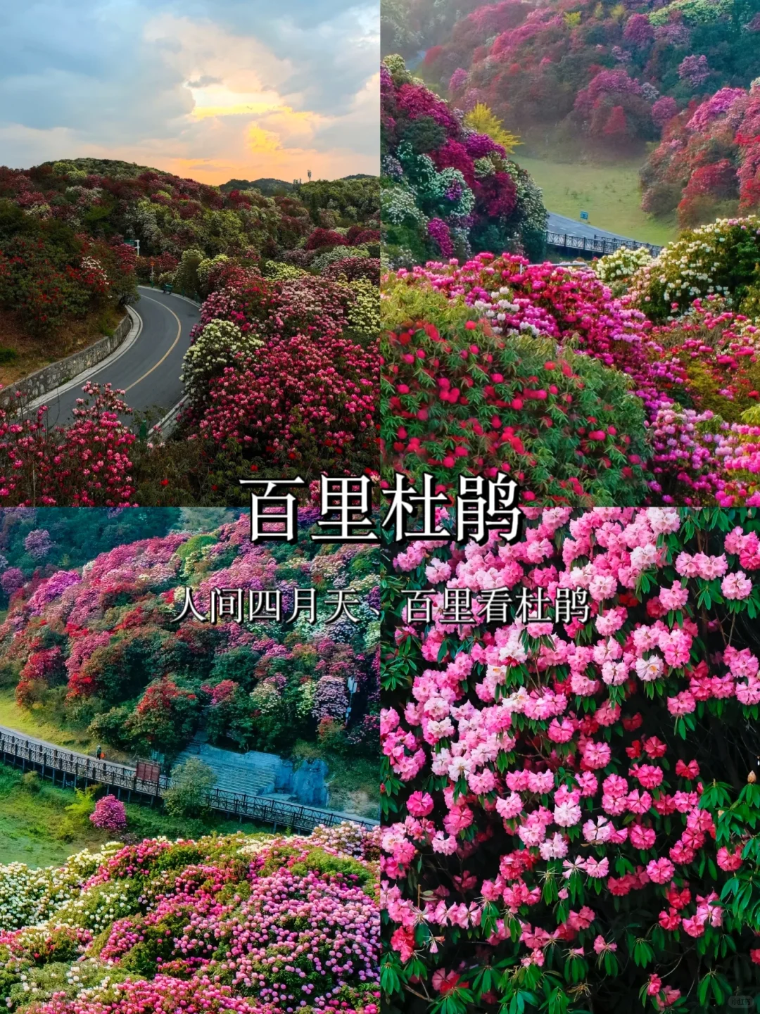 贵州必去的十大景点❗你去过几个？