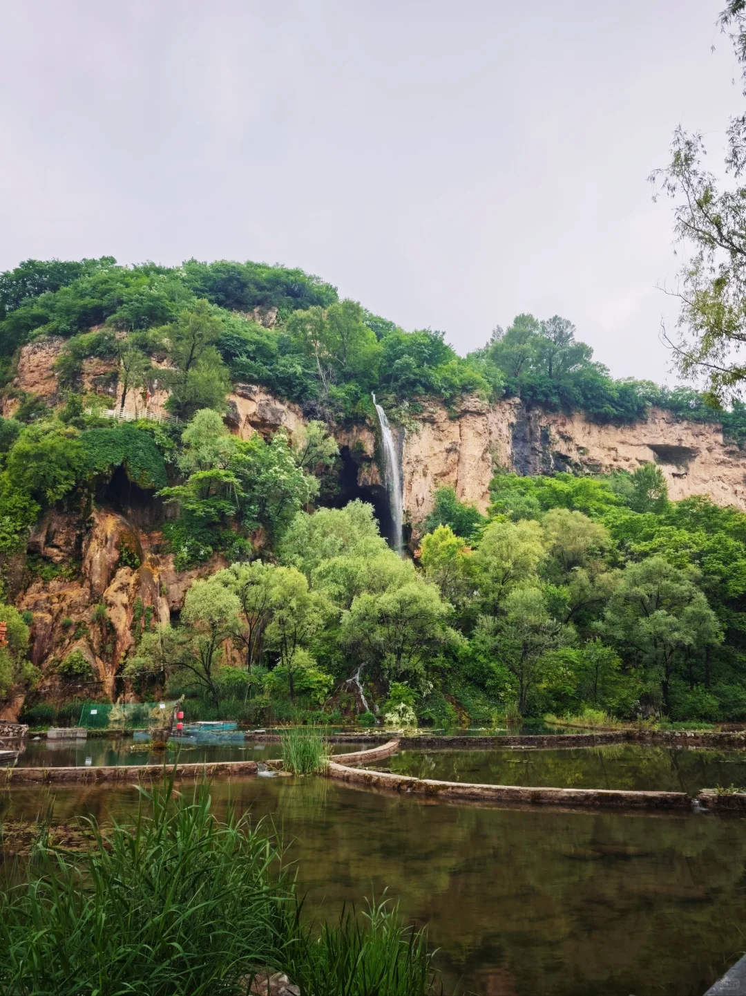 孕妈妈码住❗️绝佳放松静谧避暑胜地