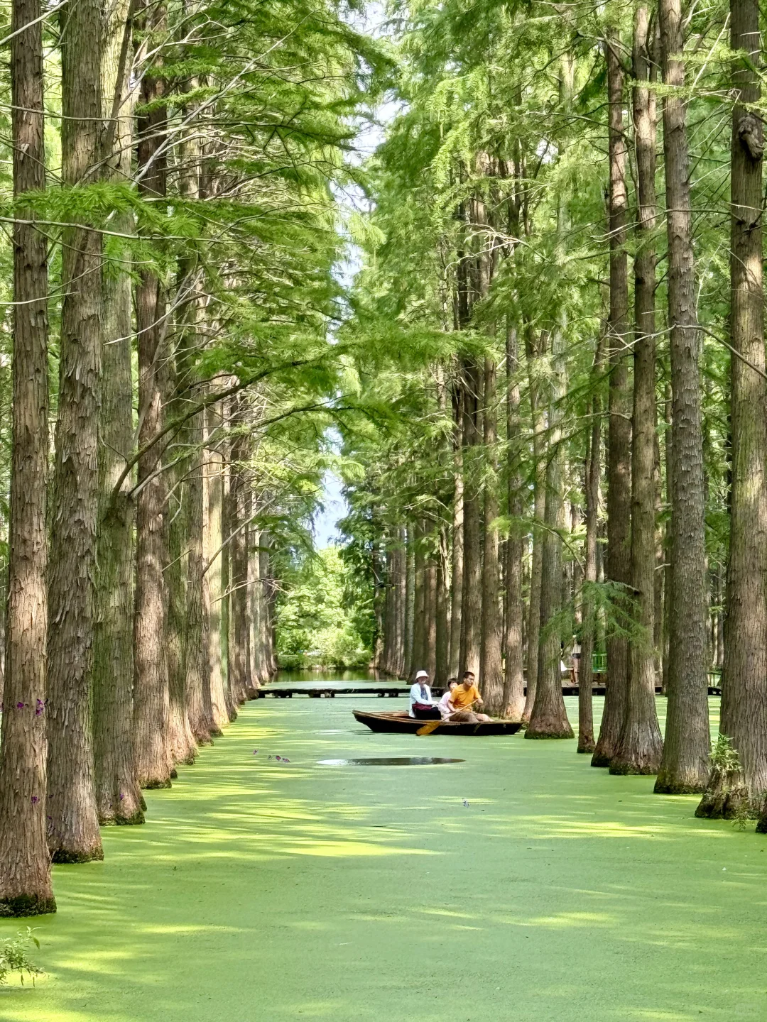 离大谱！！开车1小时到了村里竟然