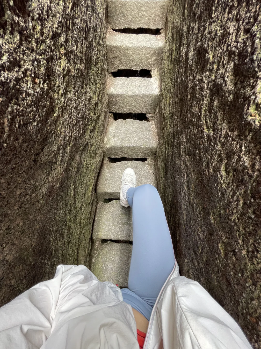 这山又免费了！！不爬对不起自己！