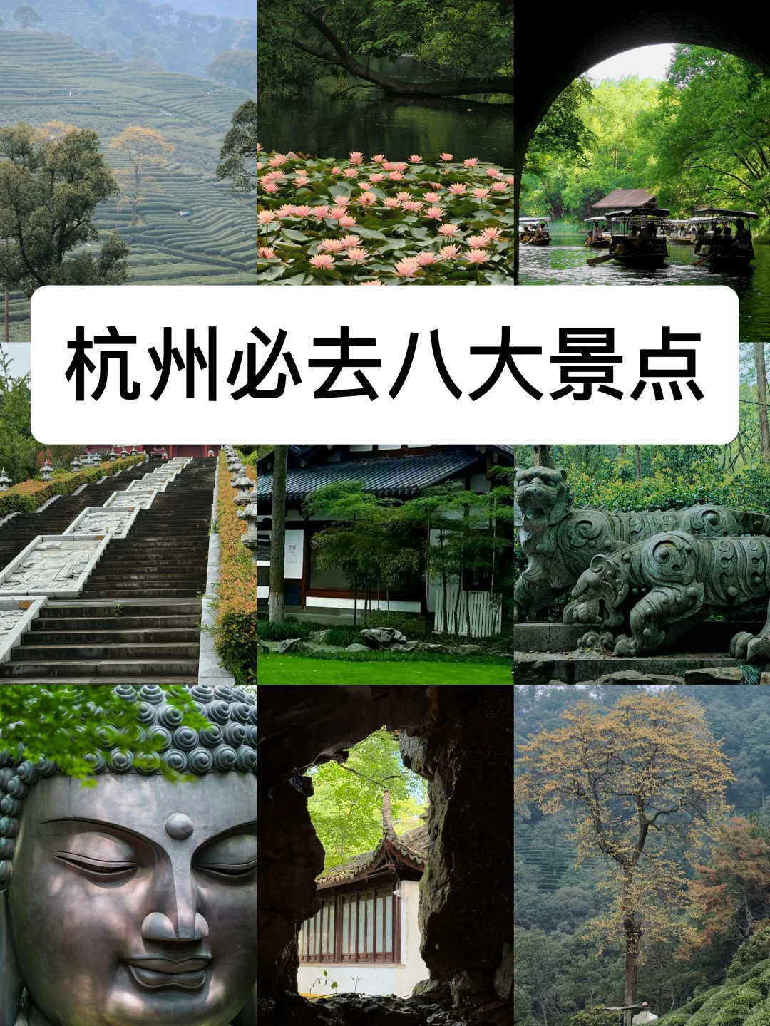 来杭州度夏必去的8️⃣大景点（不踩雷小众版）！