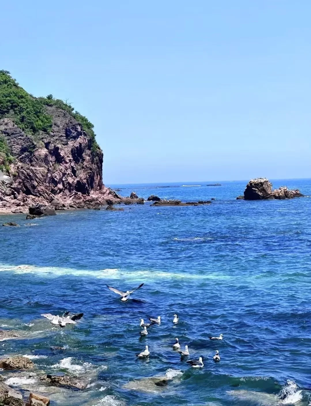 威海旅游 | 纯干货！景点避坑+美食暴走攻略