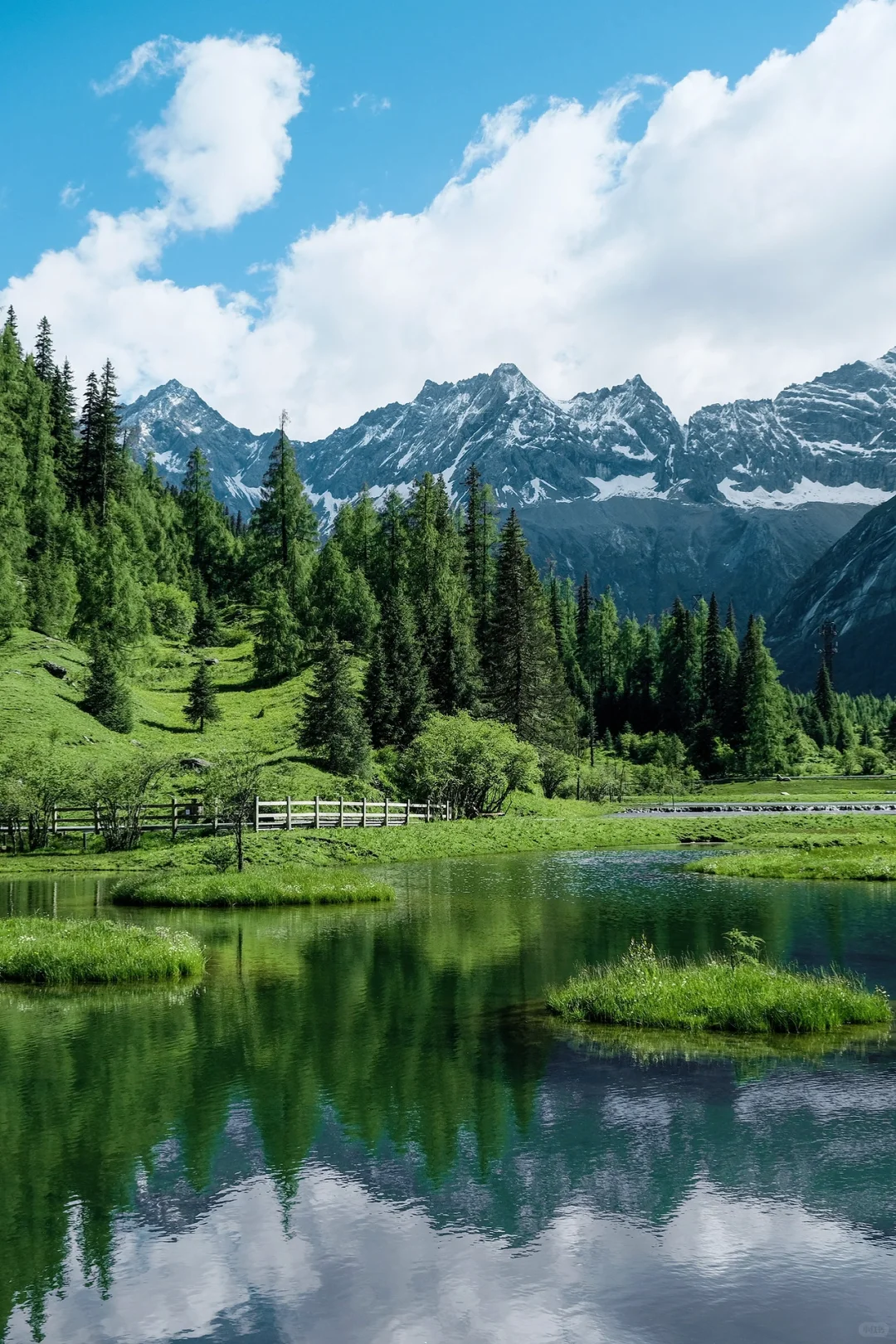 总要去趟四姑娘山，看看封神级别的夏天吧…🍃