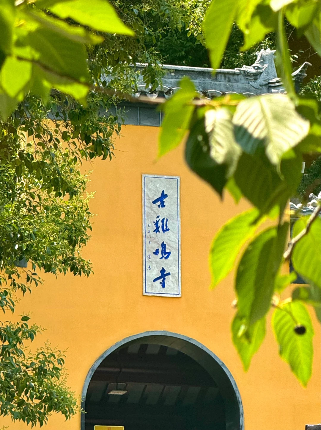 为了这14张图，我去了趟南京……