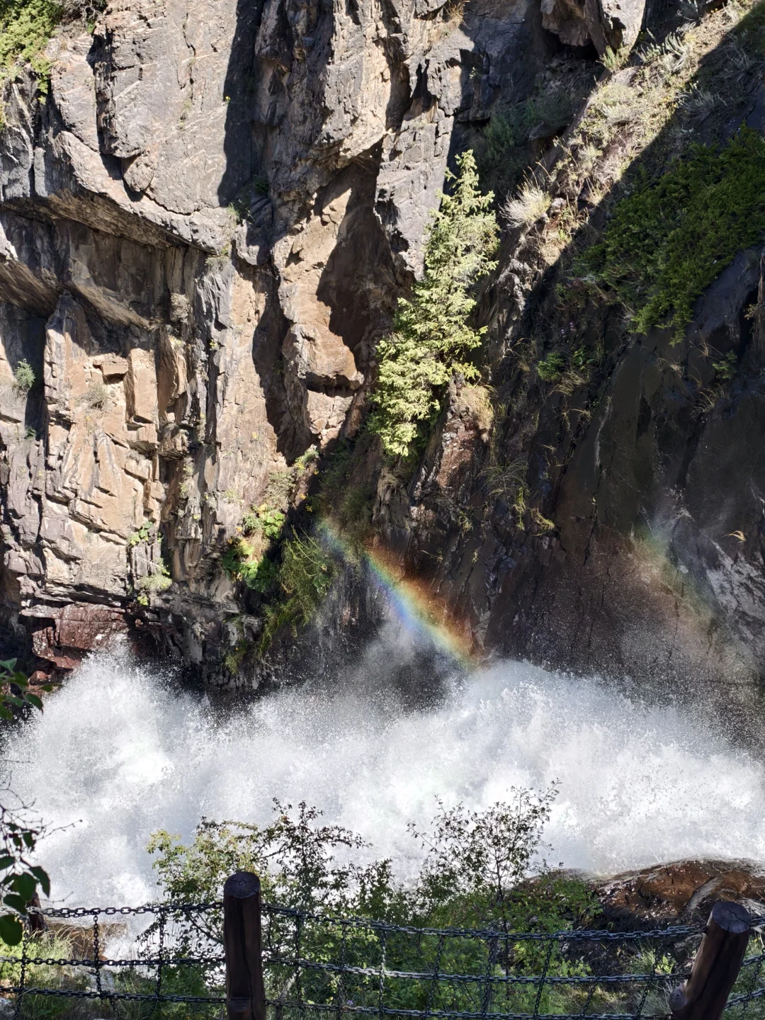 天山天池 | 开启新疆旅途的惊喜 3h游玩推荐