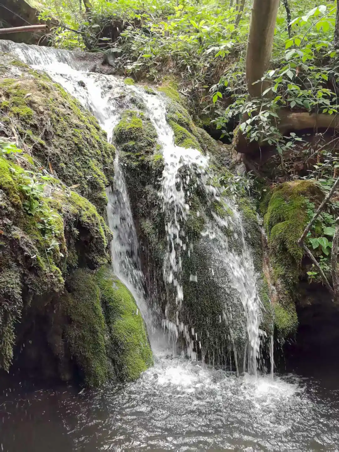 栾川重渡沟景区(一)