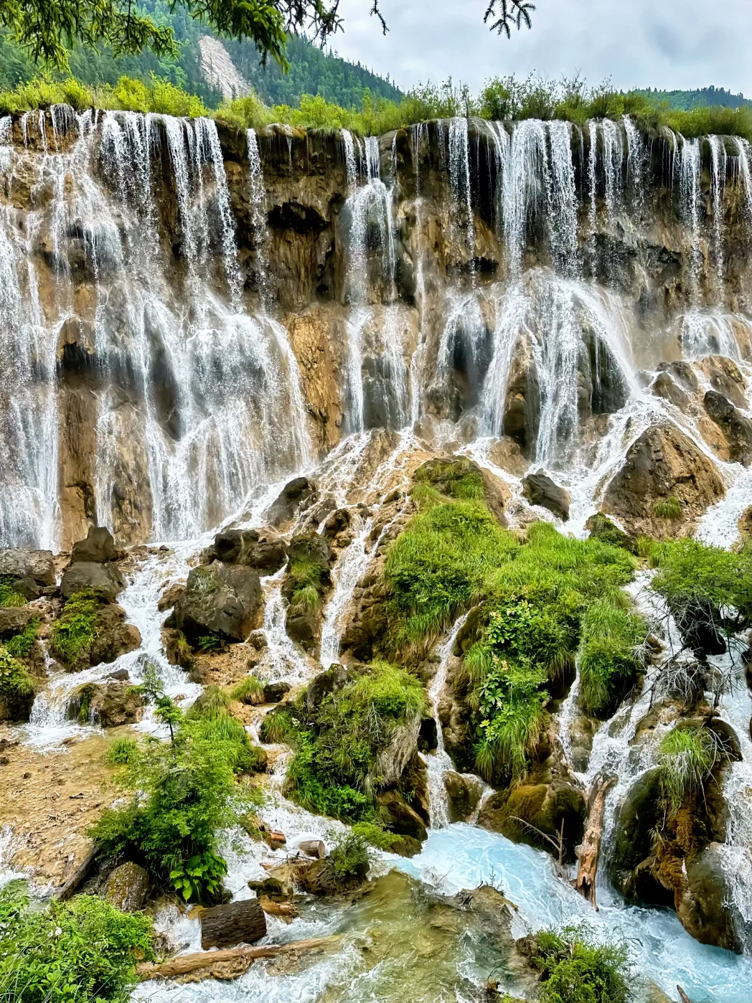 九寨沟唯一的真神🌼🦆🍃
