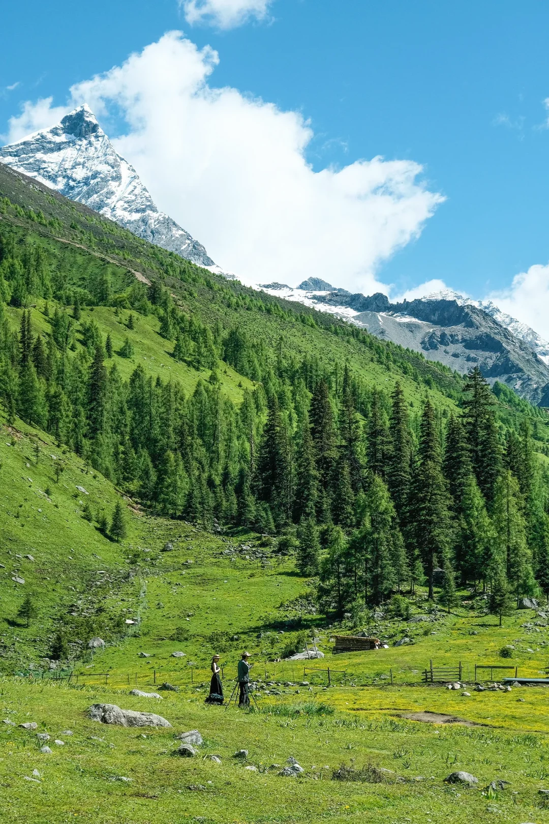 总要去趟四姑娘山，看看封神级别的夏天吧…🍃