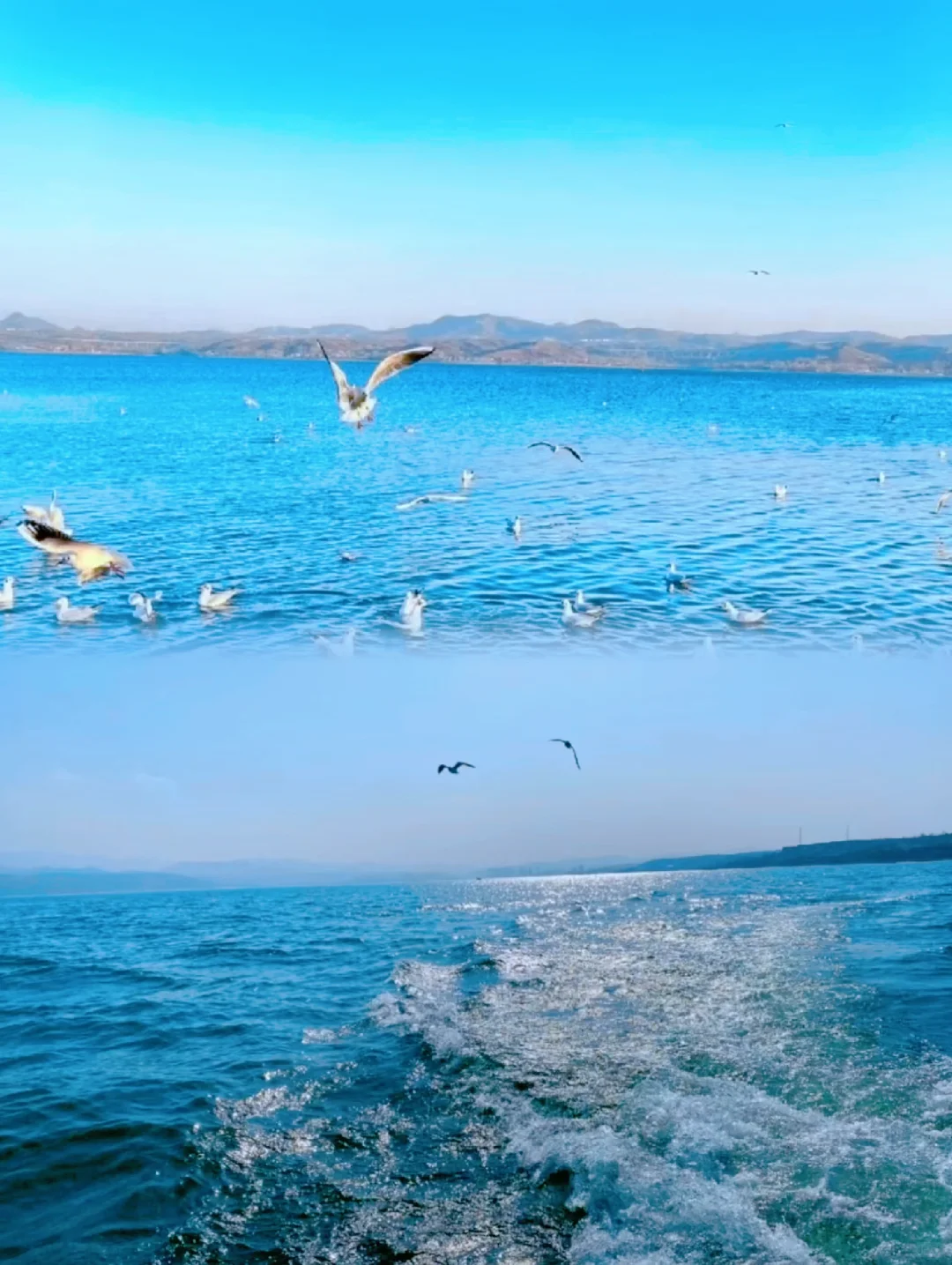 郑州2h直达河南洱海，无门票，强推‼️