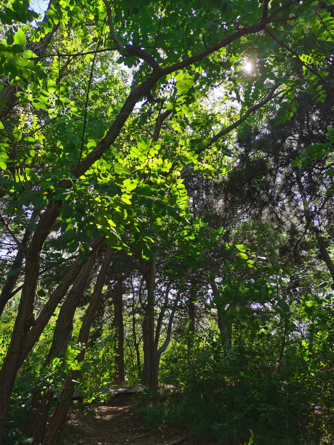 鹿泉封龙山～周末续命好去处