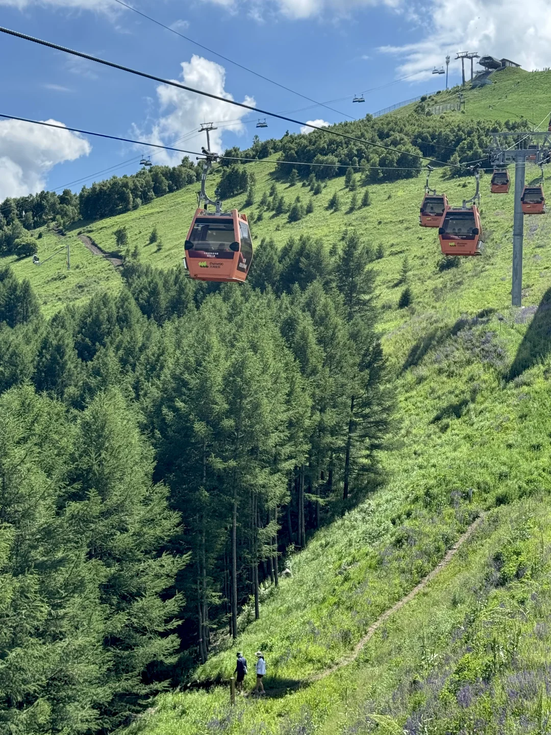 北京人有自己的阿勒泰⛰️