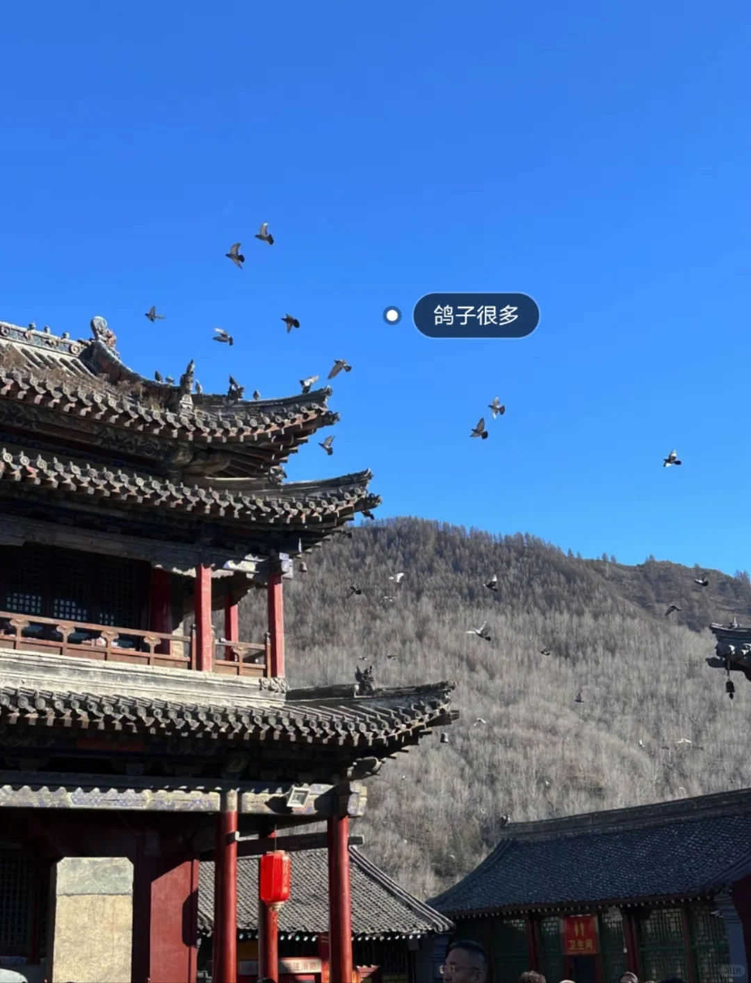 邯郸到五台山直通车！五台山二日游