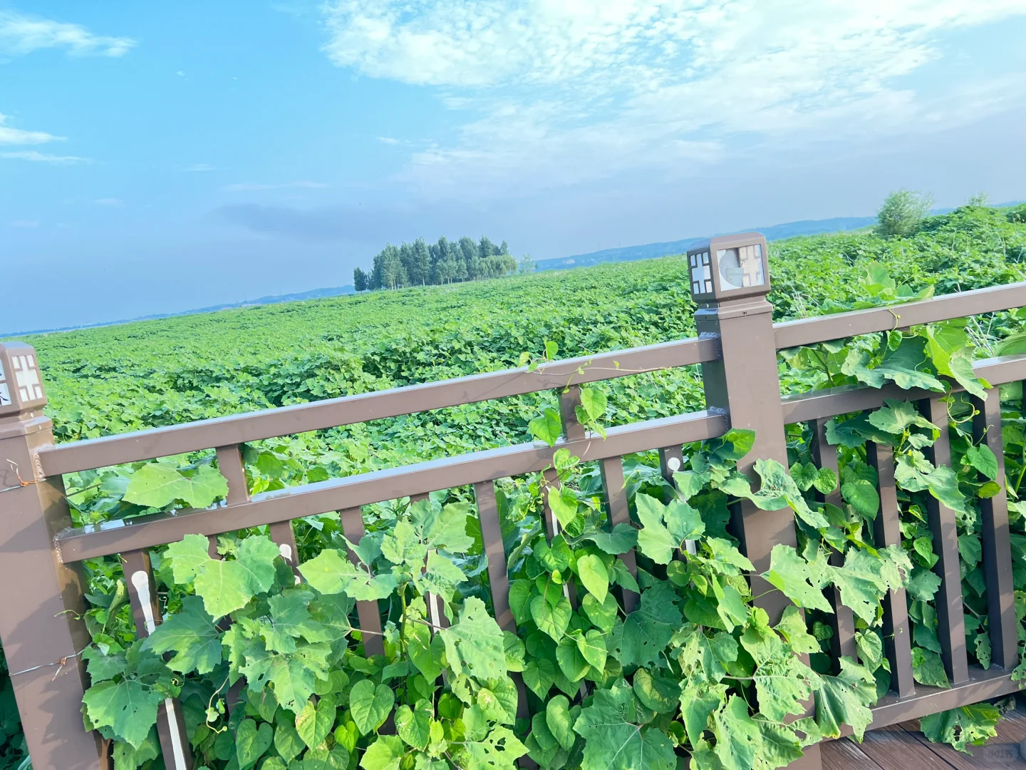 邯郸小三亚。小月龄友好遛娃地